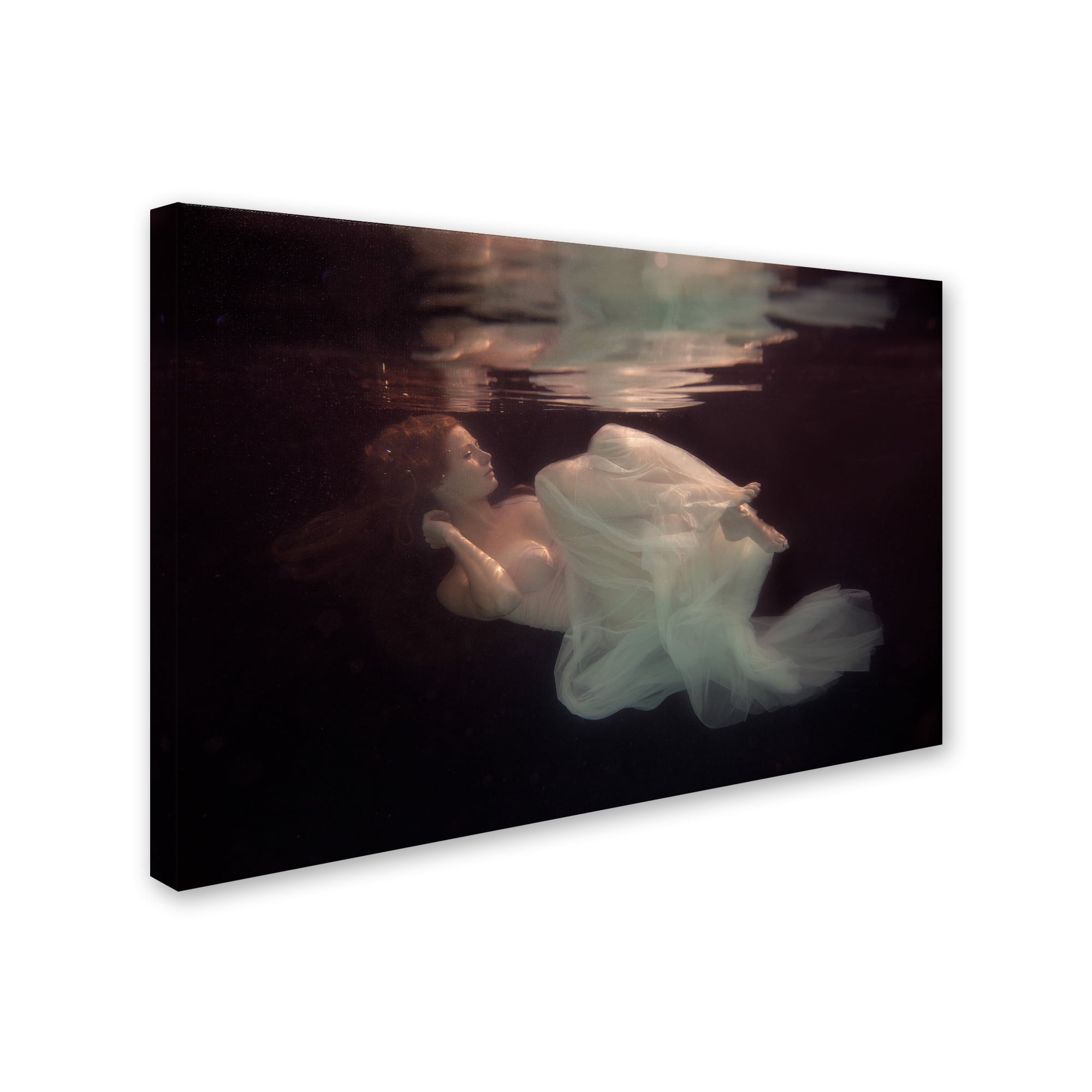 Trademark Fine Art 'Sleeping Beauty' Canvas Art by Gabriela Slegrova
