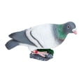thumbnail image 4 of WHAMVOX  Pigeon Ornaments Fake Realistic Dove Artificial Simulation Decor Outdoor Grey, 4 of 8