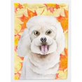 thumbnail image 1 of Carolines Treasures CK1409CHF Bichon Frise Fall Flag Canvas - House Size, 1 of 4