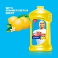 thumbnail image 3 of Mr. Clean Multi-Surfaces 128 Fluid Ounce Bottle, 3 of 6