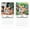 #058-Multicolor, variant on HaoXun [Funny Dog Calendar for Desktop - 11.2 x 11.2 Inches Humorous Dog Antics Collection, Whimsical English Calendar for Home Office Decor, Gift (Multicolor, Paper)]