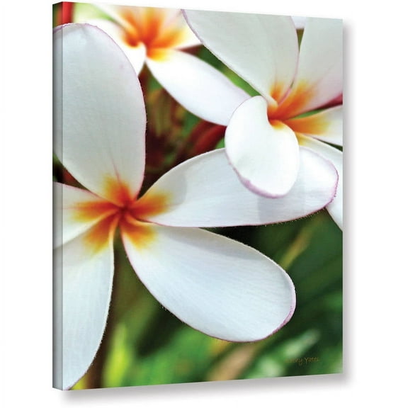 Kathy Yates "White Plumeria" Canvas Art