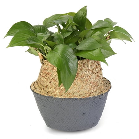 Waterproof Flower Pot - Seagrass Belly Basket Plant Pot Foldable Garden Flower Vase Hanging Basket with Waterproof Shell For torage Holder Organizer Bag Home Decor