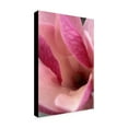 thumbnail image 3 of Trademark Fine Art 'Tulip Magnolia Blossom' Canvas Art by Kathy Yates, 3 of 5
