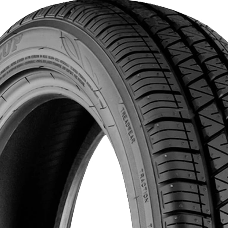 Dunlop Enasave 01 A/S Touring 205/55R16 91H Passenger Tire