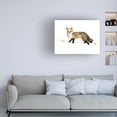 thumbnail image 3 of Victoria Barnes 'Winter Fox II' Canvas Art, 3 of 3