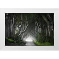 thumbnail image 1 of Molteni, Nicola 14x11 White Modern Wood Framed Museum Art Print Titled - Dark Hedges, 1 of 4