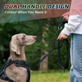 thumbnail image 3 of Pet Pet Leash Fluorescent Dog Traction Rope Secure Locking Fabric Training Leash For Walking Shopping Camping, 3 of 8