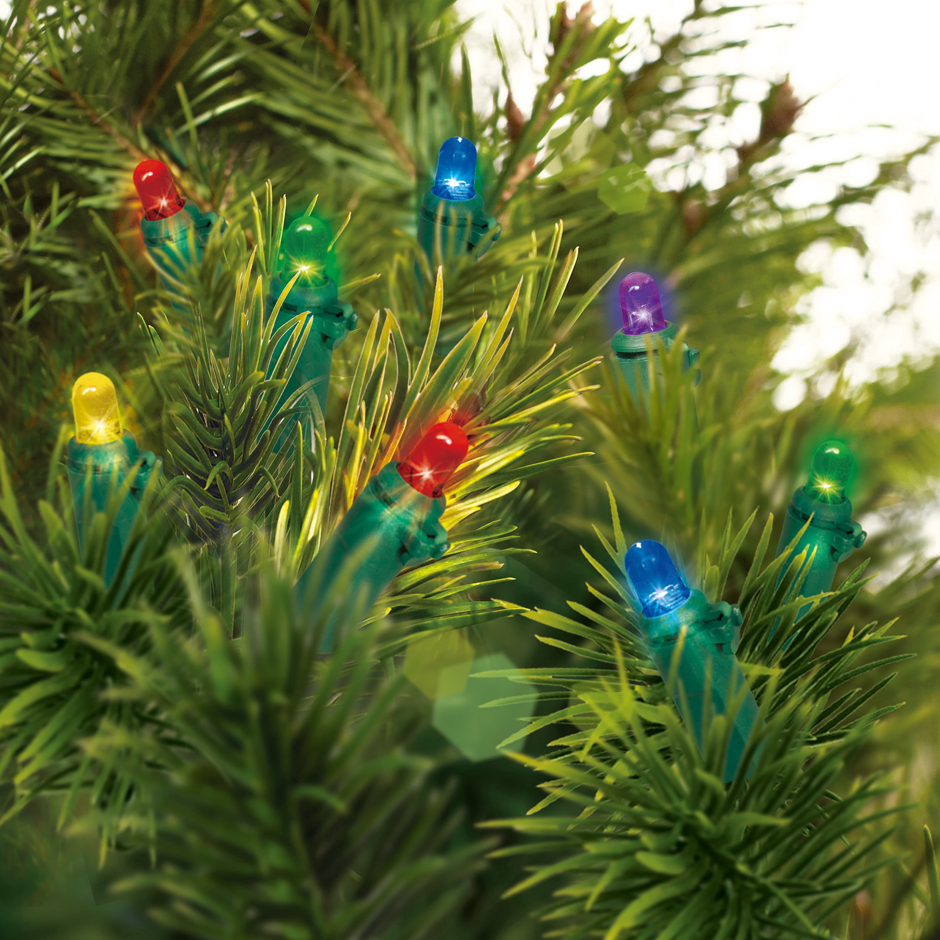 Indoor/Outdoor 240-Count LED Dome Christmas String Lights, Multicolor, Green Wire, 47', by Holiday Time