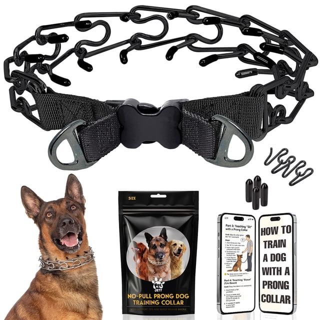 Collar en forma de púas PET JETT para perros, ajustable, de acero inoxidable