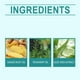thumbnail image 5 of Rosemary Hair Growth Serum, Advanced Hair Growth Serum for Scalp Control Hair Fall, Stimulate Hair Regrowth, Increase Hair, 5 of 5