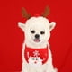 thumbnail image 3 of Gorro Navideño para Mascotas con Cuernos de Reno - Talla Pequeña para Perros y Gatos (1-4kg) - Material Suave de Poliéster y Felpa - Accesorio Divertido para Fiestas, 3 of 5