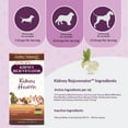 thumbnail image 5 of Amber NaturalZ Kidney Health for Pets | Pet Herbal Supplement for Kidney Wellness 4oz, 5 of 7