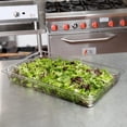 thumbnail image 2 of TrueCraftware- Full Size 2-1/2” Deep Food Pan Polycarbonate Clear Color- Food Storage Containers Plastic Food Pan Restaurant Commercial Hotel Pans for Food Prep Fruits Vegetables Beans Corns, 2 of 5