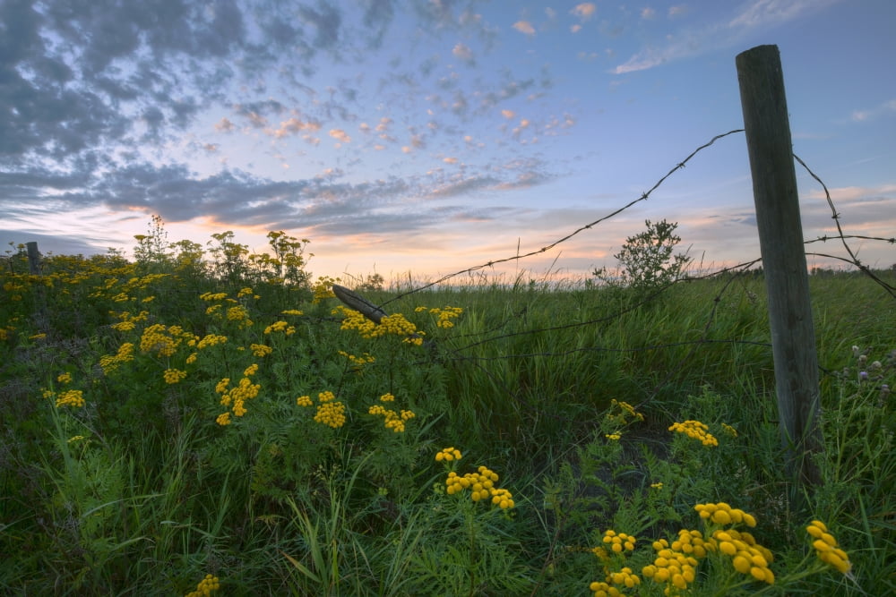 A Summer Evening Sk
