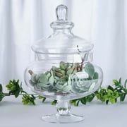 Efavormart Set of 3 Glass Apothecary Candy Jars With Lids - 10/12/14