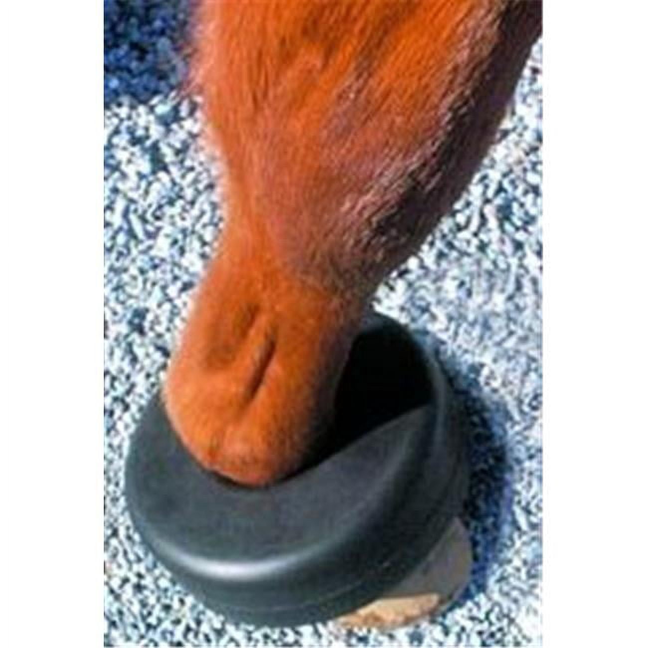 Shoe Boil Boot