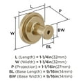 thumbnail image 6 of Amerock Faircrest 1-1/4 inch (32mm) Diameter Golden Champagne Cabinet Knob, 6 of 7
