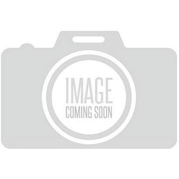 THROTTLEBODYANDMOTO (P)