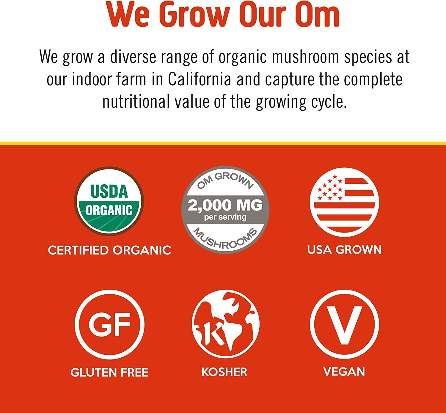 Om Mushroom Superfood Morning Energy Blend Mushroom Powder Drink, Single Serve, 10 Count