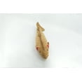 thumbnail image 4 of Cutthroat Trout, Plush Fish, Realistic, Lifelike, Stuffed, Soft, Educational, Model, Toy, Kids, Gift, 17" F2490 BB56, 4 of 6