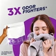 thumbnail image 3 of Triple Action Odor Blasters Odor and Stain Remover Powder, To Use with Detergent, 4 lbs, 3 of 6