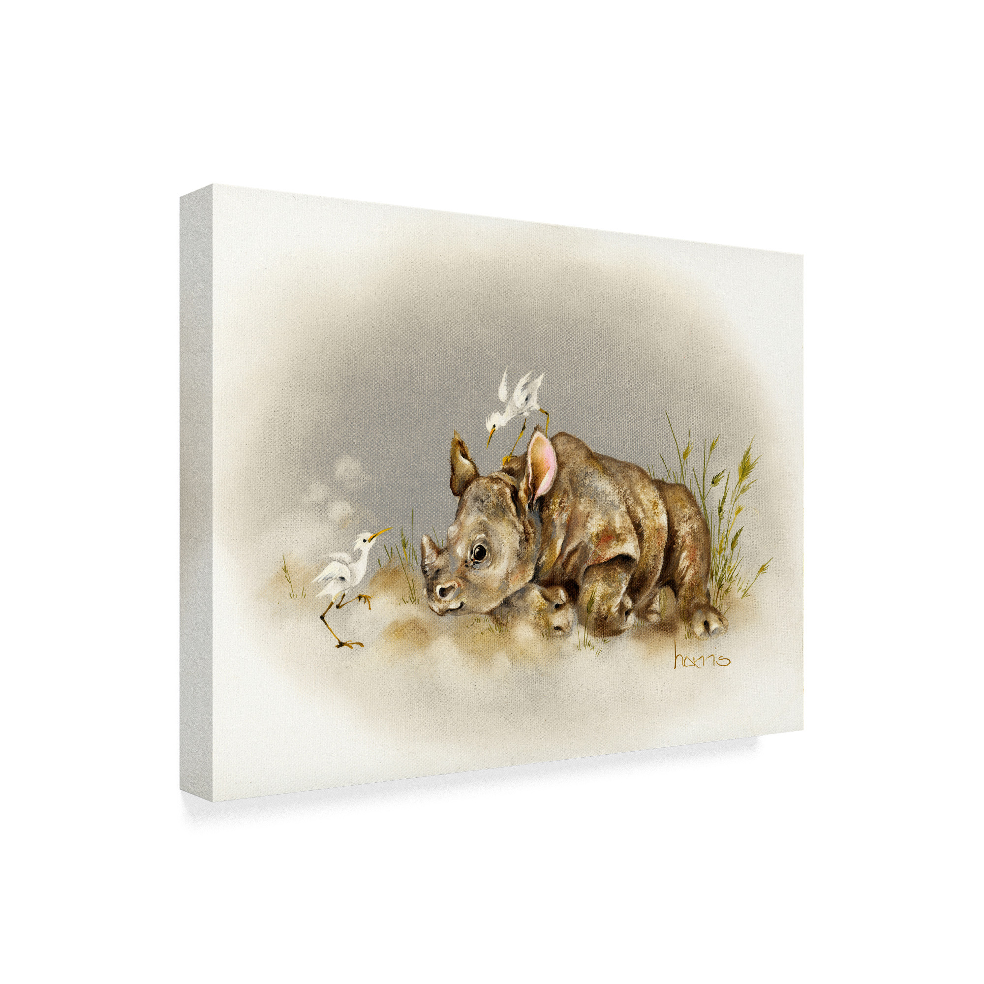 Trademark Fine Art 'Rhino Baby' Canvas Art by Peggy Harris