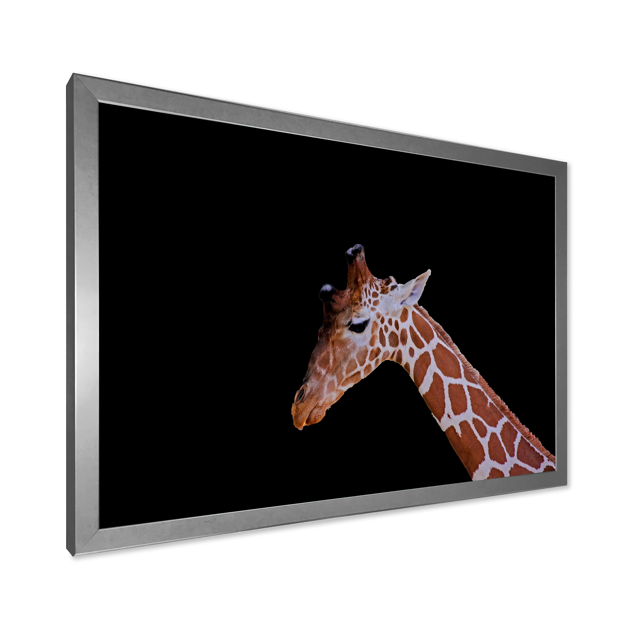 Designart 'Portrait of A Giraffe On Black Background I' Farmhouse Framed Art Print