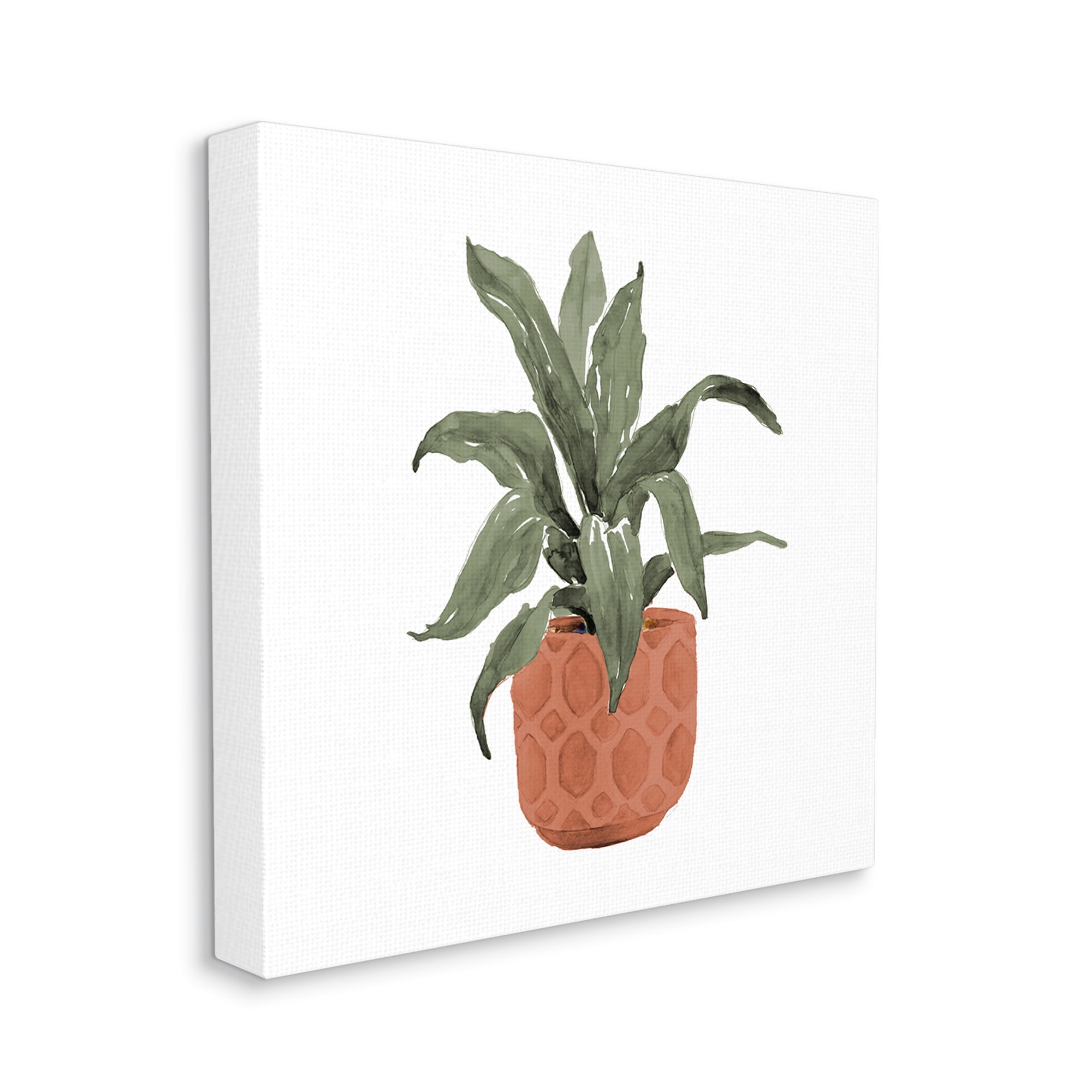 Stupell Industries Simple House Plant Green Leaves Terracotta Planter Painting , 36 x 36, Design by Lanie Loreth