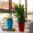 thumbnail image 3 of White Macetas de autorriego Pp, macetas para interiores con indicadores de nivel de agua, maceta decorativa moderna para jardín, 3 of 5