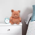 thumbnail image 1 of Peluche en forma de Puerquito Peludito y Esponjoso, 1 of 4