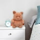thumbnail image 1 of Peluche en forma de Puerquito Peludito y Esponjoso, 1 of 4