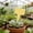 Yellow, variant on 100Pcs Garden Plant Labels Waterproof Plastic Plant Nursery Markers T-Type Plant Name Sign Tag Outdoor Indoor Stakes Stick for Seed Potted Herbs Flowers Mint Green