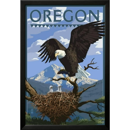 oregon eagle perched with