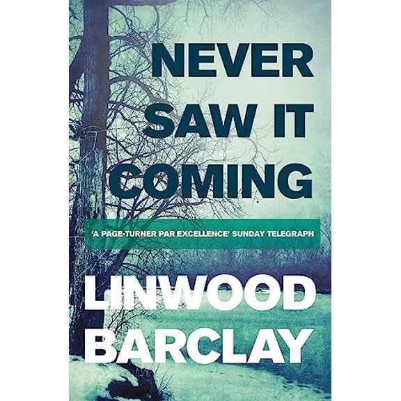 Pre-Owned Never Saw It Coming (Paperback) 1409137635 9781409137634