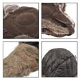 thumbnail image 6 of Janey&Rubbins Cold Weather Rassian Cossack Trooper Bomber Pilot Hat Trapper Hunter Ear Flap Winter Cap (P, L, Brown), 6 of 7