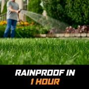 Ortho WeedClear Lawn Weed Killer Ready-To-Use with Trigger Sprayer, 1 gal.