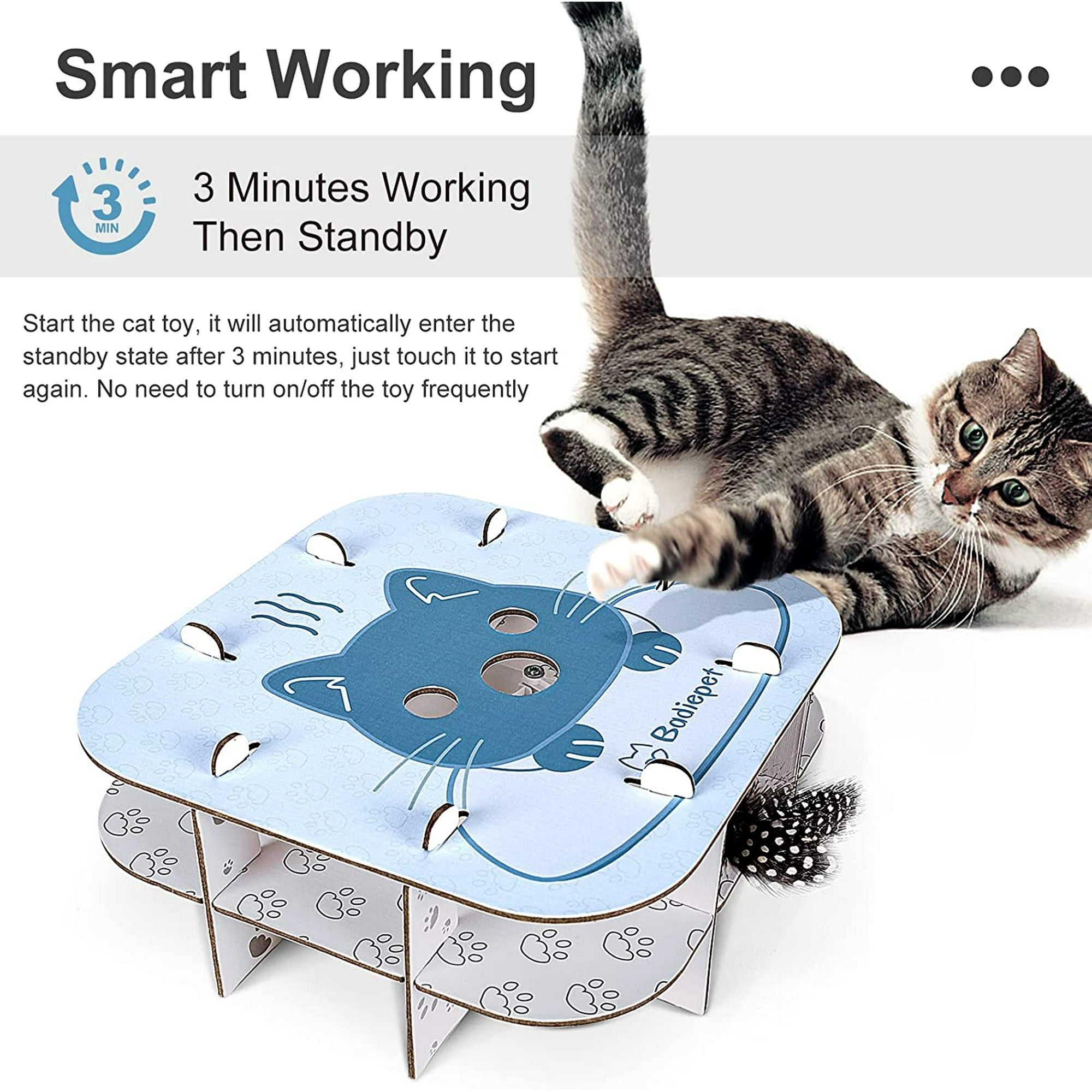 Interactive cat toys with timers deals