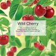 thumbnail image 4 of Little Trees Air Freshener Wild Cherry Fragrance 24-Pack, 4 of 9