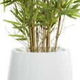 thumbnail image 6 of DecMode 80" Artificial Bamboo Tree in Realistic Leaves and White Fiberglass Pot, 6 of 13