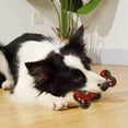 thumbnail image 3 of ERK 1Pcs Interactive Chew Squeaky Durable Biting For Self Entertainment & Teething, 3 of 4