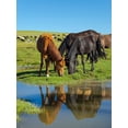 thumbnail image 2 of Zwick, Martin 19x24 Gold Ornate Wood Framed with Double Matting Museum Art Print Titled - Horses on their mountain pasture at lake Song Kol, 2 of 4