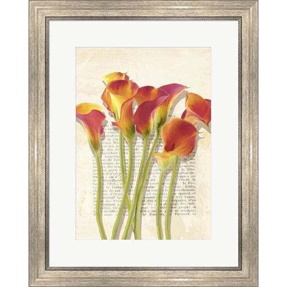 Great Art Now Callas et Histoires by Luca Villa, Framed Wall Art, 20W x 25H