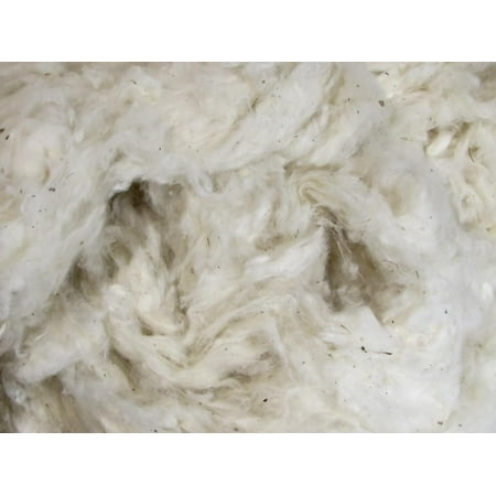 Trim Organic Cotton - Organic Raw Cotton Fiber - Natural Color - 1 Pound