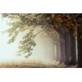 thumbnail image 2 of Van de Goor, Lars 24x17 White Modern Wood Framed Museum Art Print Titled - Dawnscratchers, 2 of 4