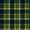 Green Yellow Plaid Pattern, variant on FORMRS Kids Backpack for School Unisex 17" Casual Bookbag Travel Daypack with Compartment Pockets, Green Yellow Plaid Pattern