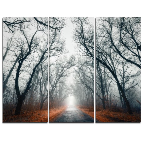 Design Art Mystic Road in Forest Landscape Photo Canvas Print