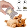 thumbnail image 4 of Juguetes con hierba gatera Meskcv 5 uds para gatos de interior juguetes masticables, 4 of 5