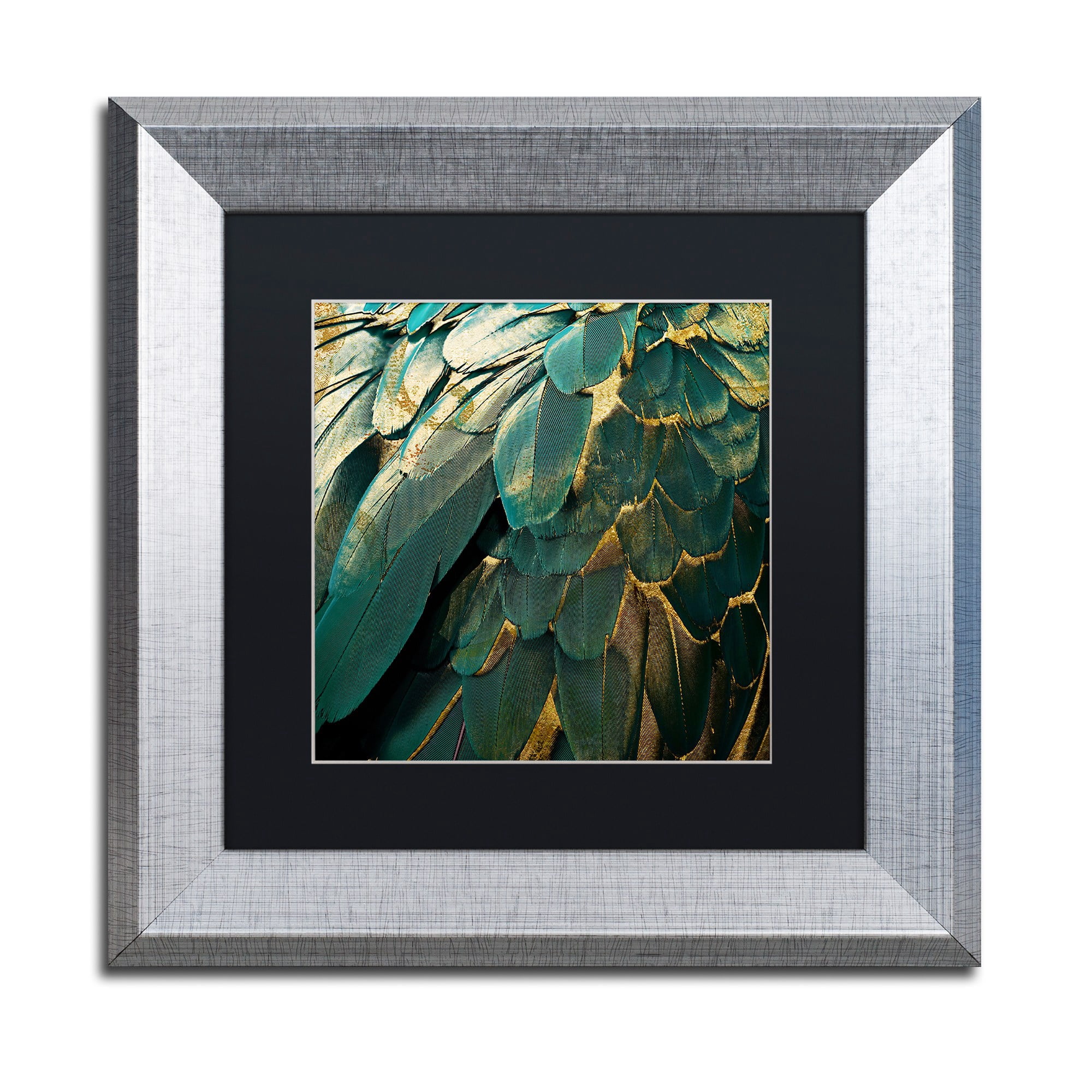 Trademark Fine Art "Feather Glitter" Canvas Art by Color Bakery, Black Matte, Silver Frame