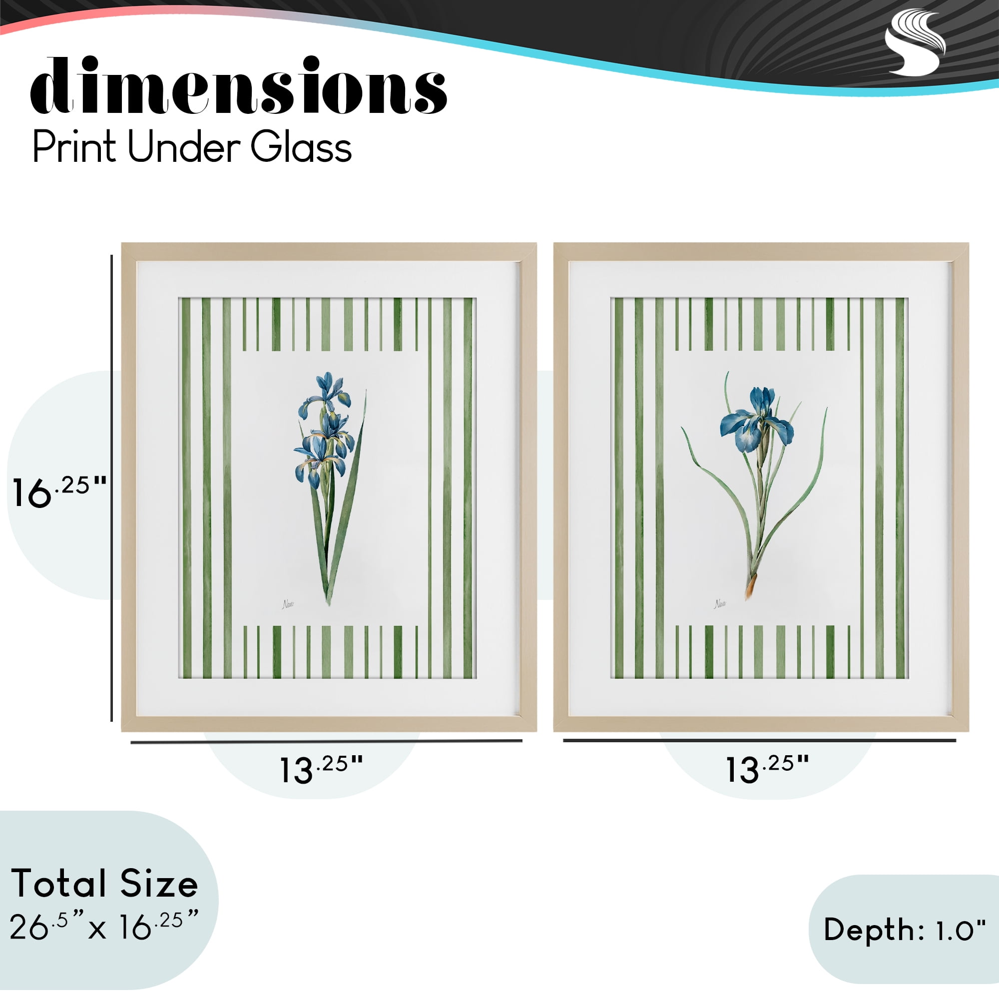Stupell Industries Irises And Stripes 2 Piece Birch Framed Print Under Glass Set, design by Nan